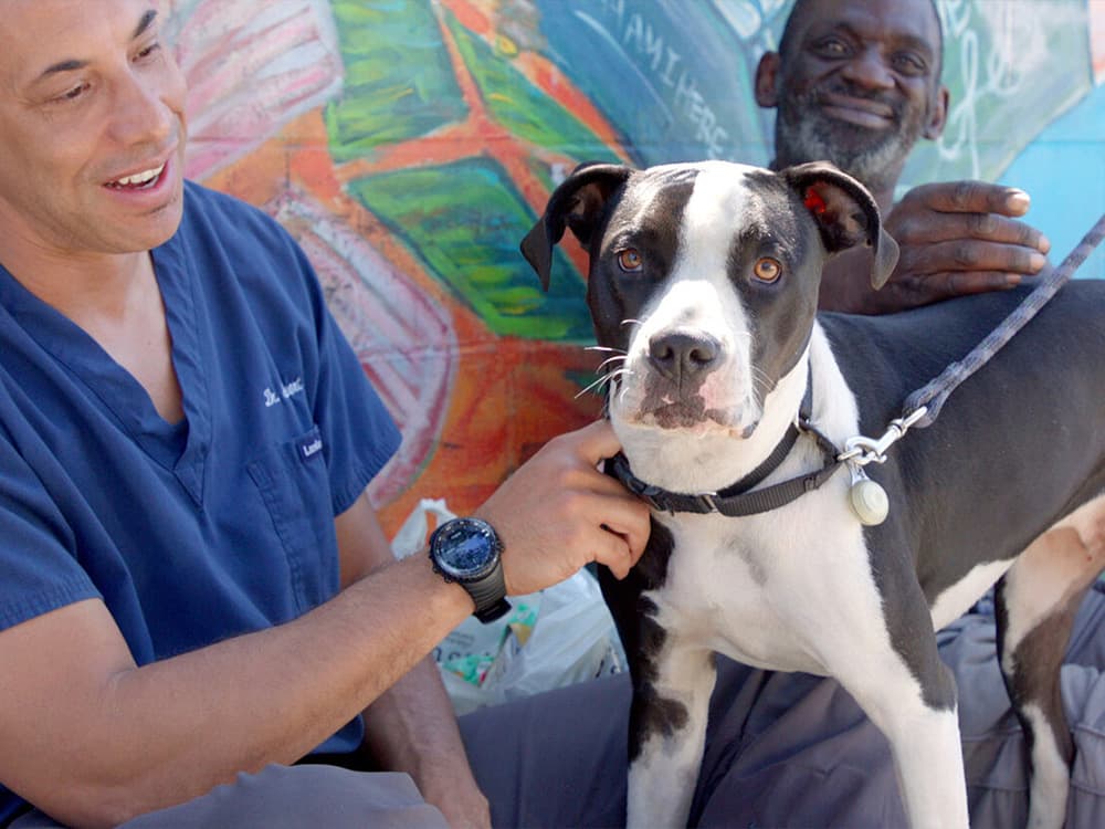 Dr. Kwane Hits the Streets to Treat Unhoused People’s Pets