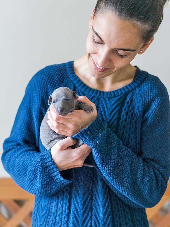 When to Deworm Your Puppy