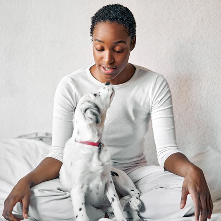 Can You Teach a Dog to Talk? Five Training Techniques