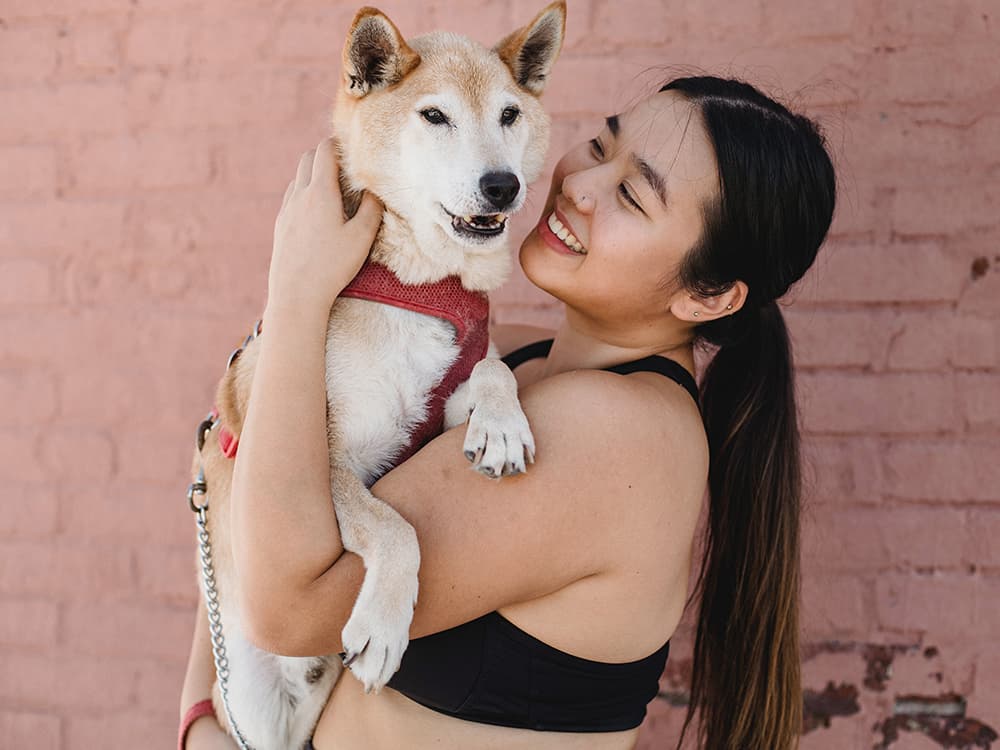 Senior Wellness Checks for Dogs