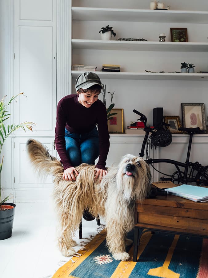 You’ve Got Company: How to Cohabitate with a New Dog