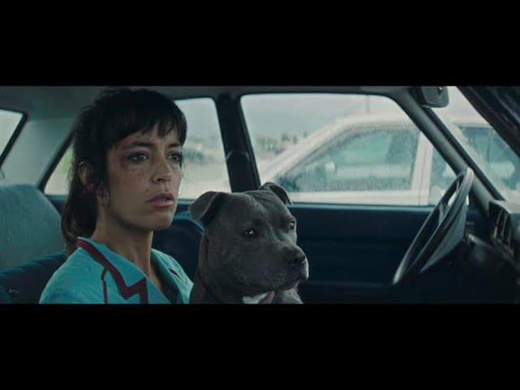 Cannes Awards Are Going to the Dogs