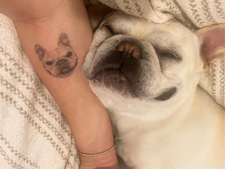 Pet Tattoos Are the New Couples Ink