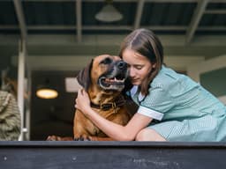 How to Recognize and Treat Canine Dementia