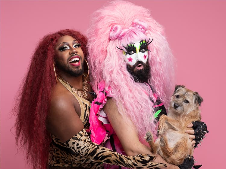 Cats, Dogs, and Drag Queens — Through the Lens of Gerrard Gethings