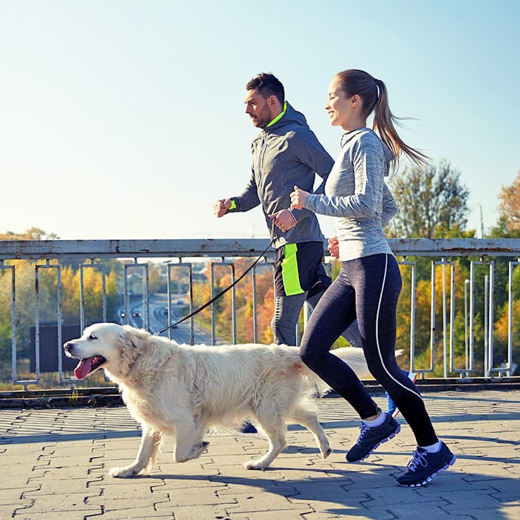 Why You Should Never Let Your Dog Be a ‘Weekend Warrior’