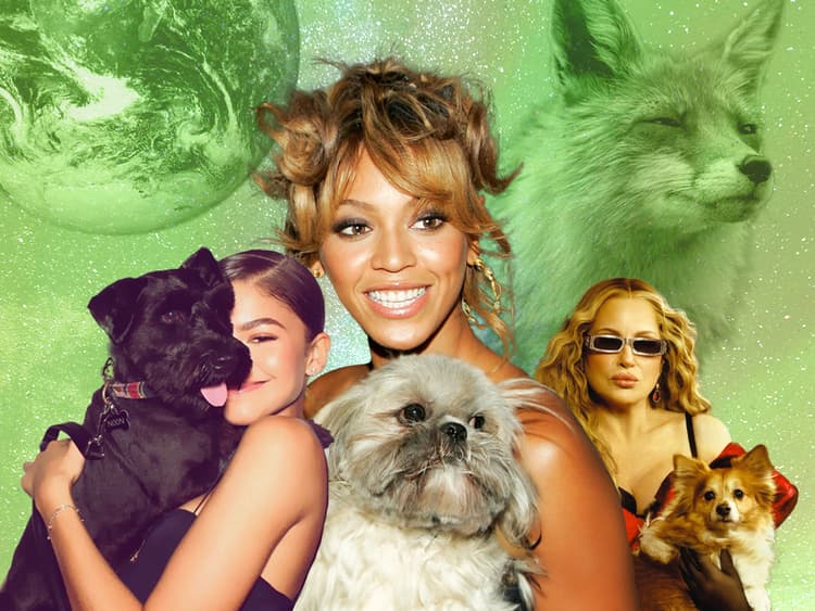 Virgo Season Is for Pet Parents Who Never Forget to Bring Poop Bags