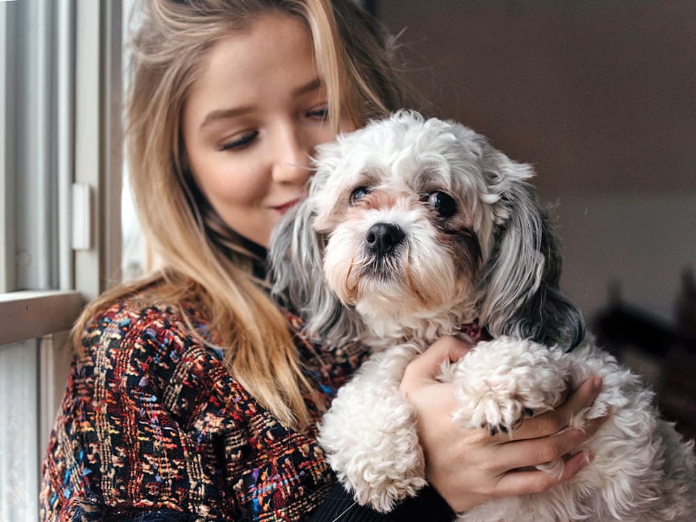Why People Say Pets Cross the “Rainbow Bridge” When They Die—And How It Helps