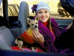 Does Your Pet Have Star Potential?