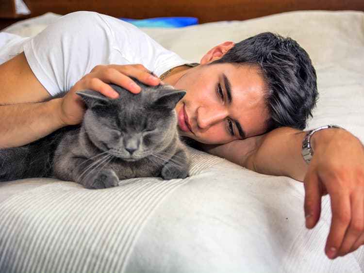 The Real Reason Your Cat Purrs (Or Doesn’t)