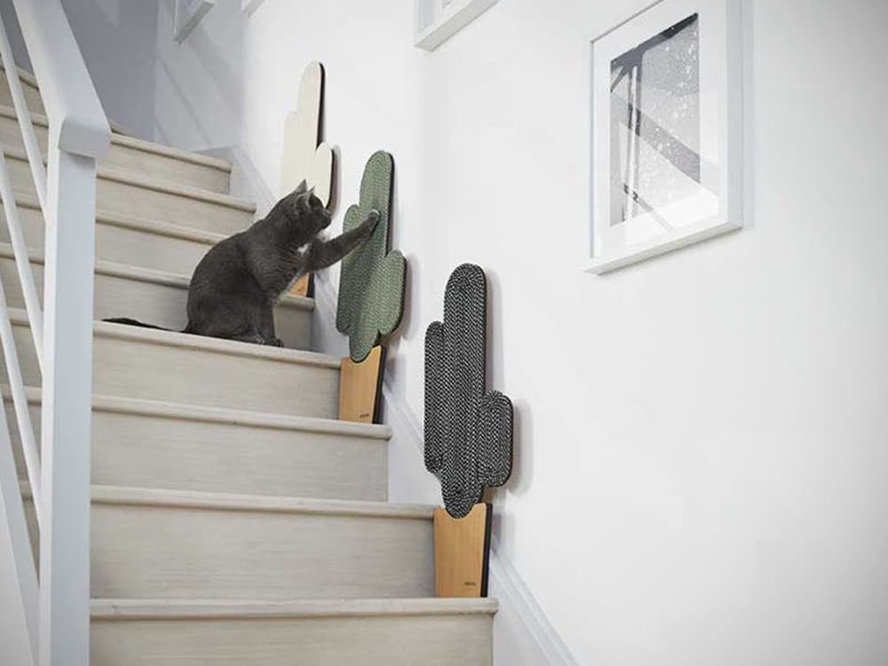 The Best Cat Scratching Posts, Pads, and Everything in Between