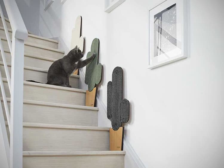 The Best Cat Scratching Posts, Pads, and Everything in Between